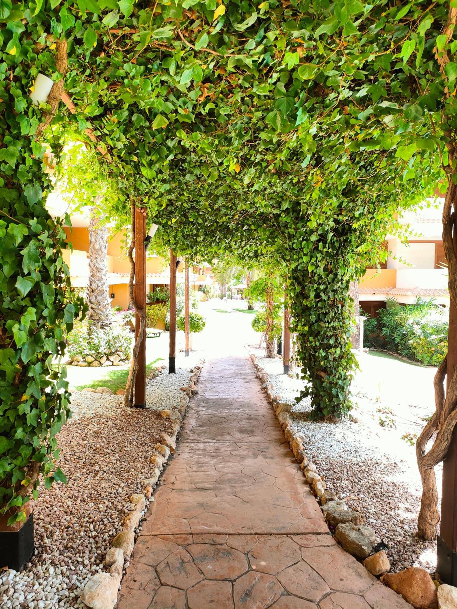 La Entrada Beach Club Torrevieja Zewnętrze zdjęcie